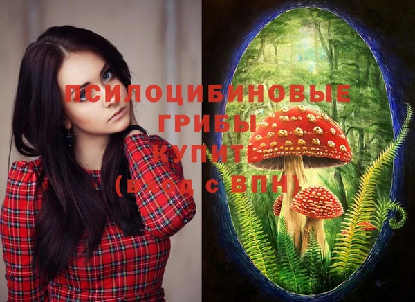 бутират Абинск