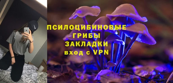 твердый Алексеевка