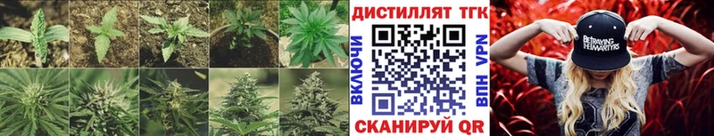 Дистиллят ТГК гашишное масло  площадка формула  Вышний Волочёк  сколько стоит  mega как зайти 