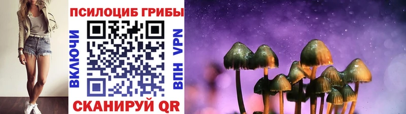 Псилоцибиновые грибы Cubensis  ссылка на мегу ONION  Вышний Волочёк  купить наркоту 